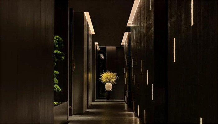 Uluslaralası Wellness Eğitim Derecelendirme ve Belgelendirme